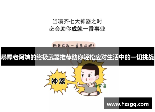 暴躁老阿姨的终极武器推荐助你轻松应对生活中的一切挑战