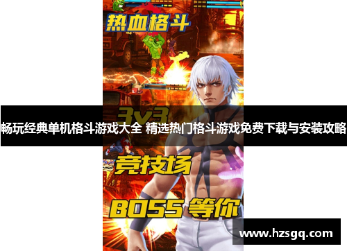 畅玩经典单机格斗游戏大全 精选热门格斗游戏免费下载与安装攻略